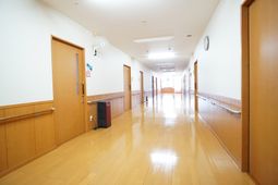 清潔な廊下の様子
