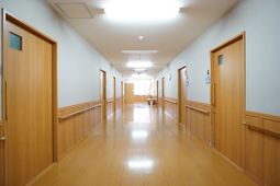 清潔感ある明るい廊下