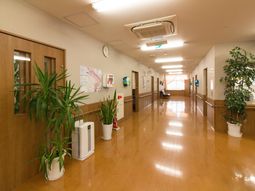 清潔で明るい廊下の様子