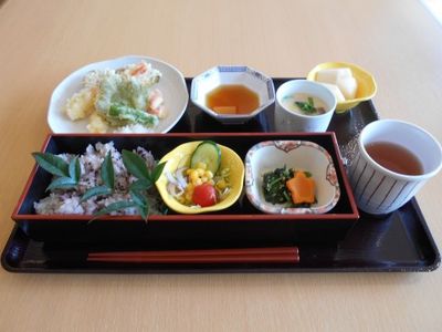 色とりどりの和食膳