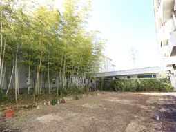 緑豊かな中庭の様子