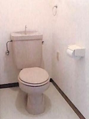 清潔なトイレの様子