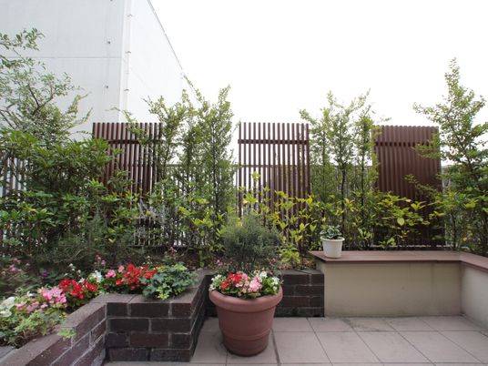 緑豊かな施設の中庭