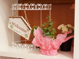 ウェルカムボードと植物