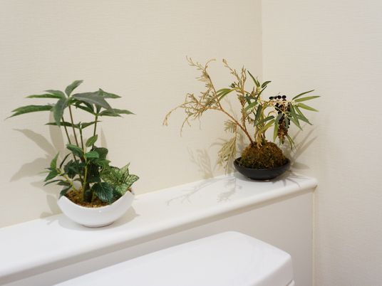 トイレの中は白で統一されて、壁側の空間には白と黒のお皿でおしゃれに配置されている苔と植物が2つ飾ってある。