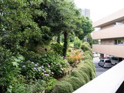 緑豊かな庭の景色