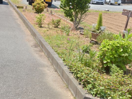 手入れされた施設の庭