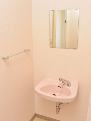 洗面台と手すりがある部屋