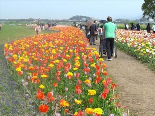 カラフルな花と散策する人々