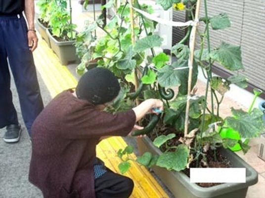 植物の手入れをする人