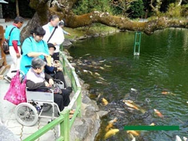 池の鯉と見守る人たち ドライブ 植栽に囲まれた穏やかな中庭で、鯉が泳ぐ池を見守る利用者の皆様の表情が和やかです。自然に触れ合いながら癒しのひとときを提供しています。