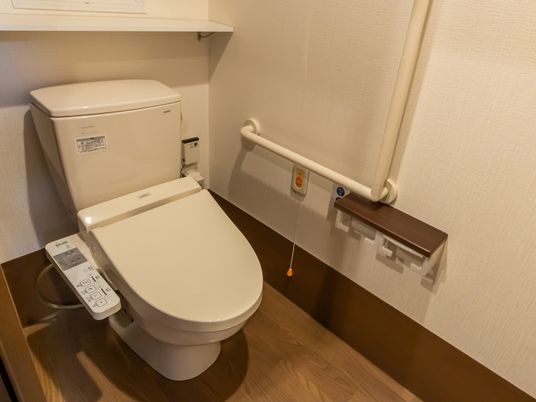 手すり付きの清潔なトイレ