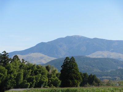 緑豊かな景色と山々