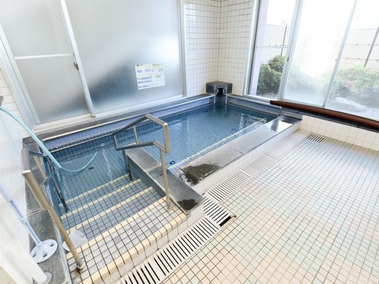 大浴槽には手すりと階段がある入口を設けている。また、浴室では大きな窓から小さな日本庭園を見ることができ、開放的で明るい印象である。