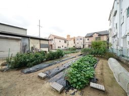 緑豊かな庭