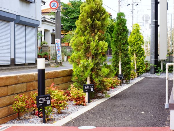 緑豊かな中庭風景