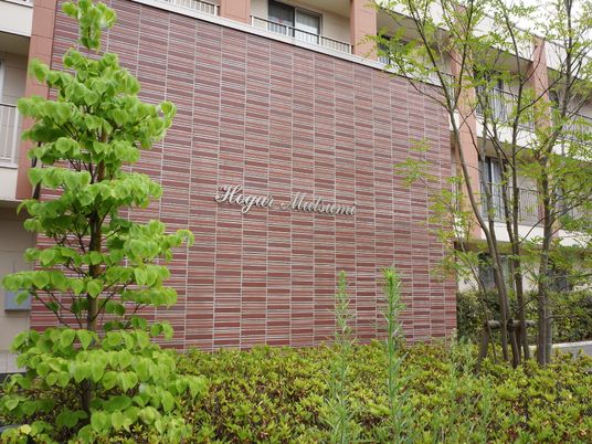 緑豊かな外観の建物