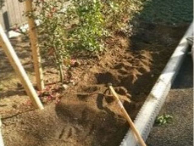 手入れされた中庭の一角 中庭 手動の工具を利用したお庭の手入れが行われており、自然に囲まれた作業は利用者様に安らぎを提供します。