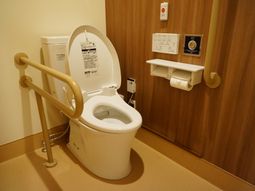 トイレの手すりが付いた設備