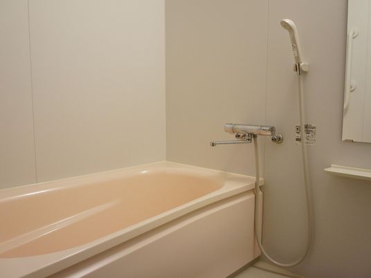 清潔な浴室の一角