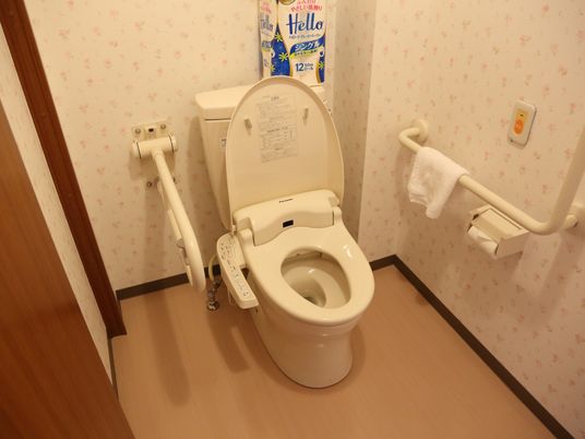 手すり付きの清潔なトイレ