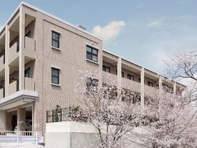 桜並木の外観 外観 桜に囲まれた暖かみのある建物です。四季折々の自然を感じながらお仕事できる環境を提供いたします。