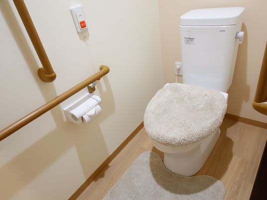 個室のトイレの左右には手すりが設置しているため、立ち上がるときに両手で手すりを持つことができ、安心である。