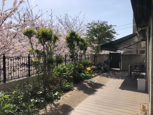 花木が見えるテラス  