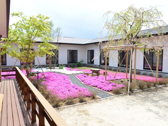 中庭の花と緑