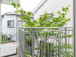 緑豊かなバルコニーの風景
