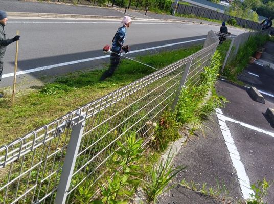 屋外で草刈りする様子  
