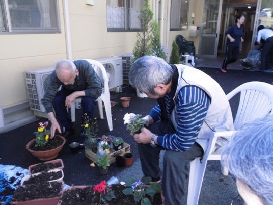庭での植物の手入れ