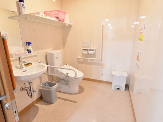 トイレルームは広いスペースが取られているので、洗面台と一体になっており、用を足した後すぐに手を洗うことができる。