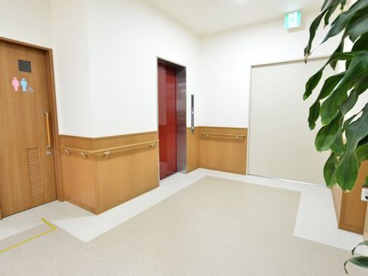 エレベーターやトイレにつながっているスペースには大きめの観葉植物が飾られており、待っている人の癒しの存在となっている。
