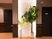 廊下と植物の調和