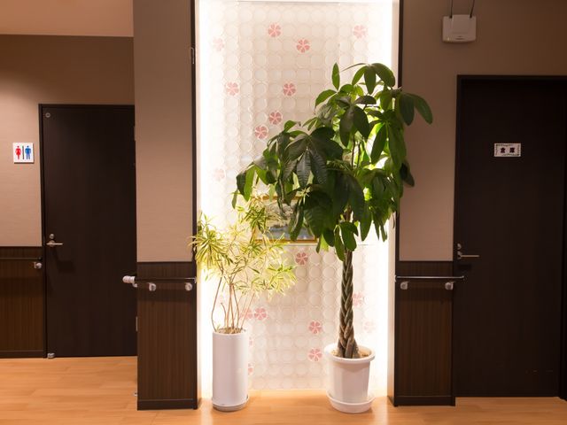 廊下と植物の調和