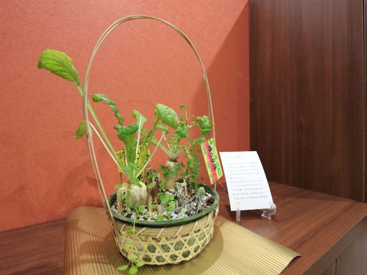 緑の植物と掲示物