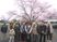 桜木の下の集合