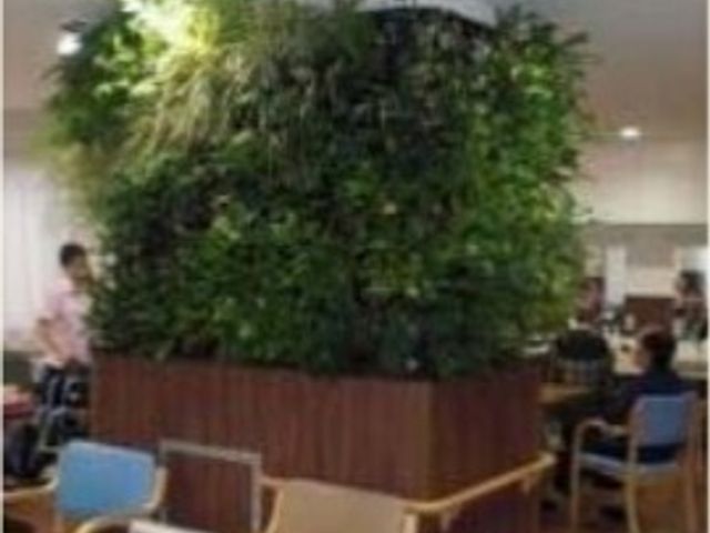 緑あふれるリビング空間 ホール 植物に囲まれ、居心地のよい共有リビングです。リラックスしながら他の利用者との交流も深められます。