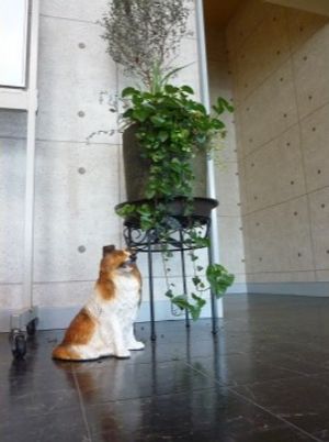 植物と犬の置物