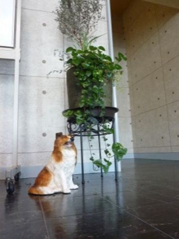 植物と犬の置物