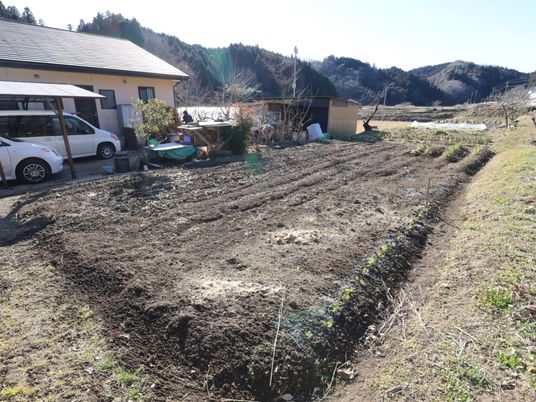 庭園と建物