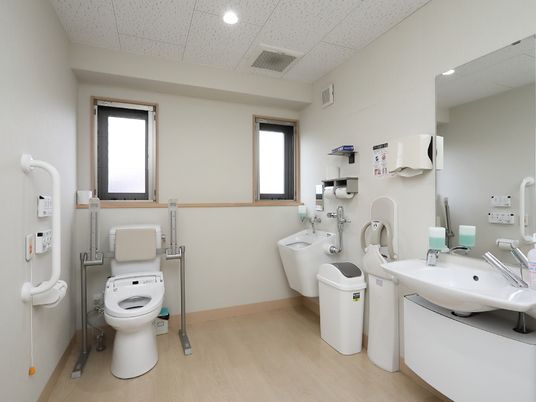 施設の写真 トイレは広々としていて手前に白い洗面台が設置されている。便器には背もたれと肘掛けが取りつけられている。