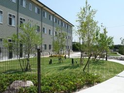 青々とした中庭