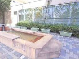 中庭の緑とベンチ