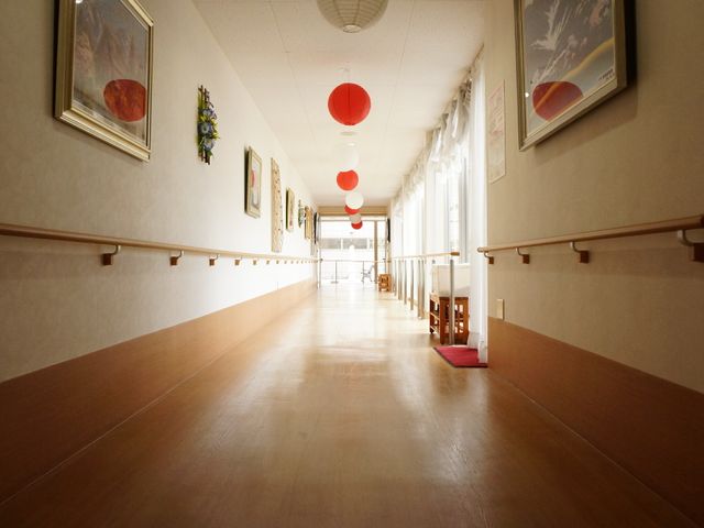 明るい廊下とアート 廊下 アート作品が飾られ、心地よい日差しが差し込む温かな通路です。
