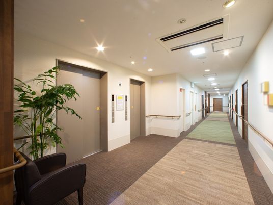 清潔感ある明るい廊下