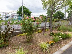 花と緑のある中庭