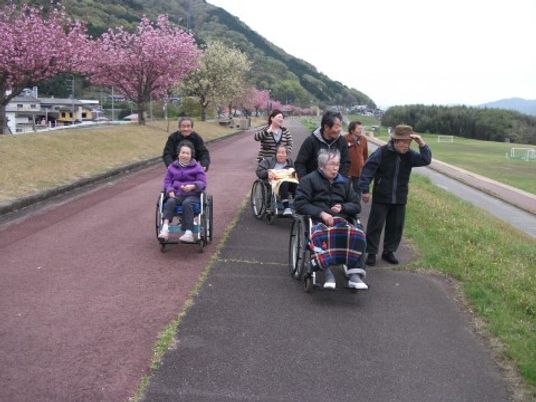 散歩する人々と桜並木