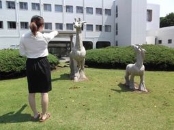 緑の芝生と彫刻の庭